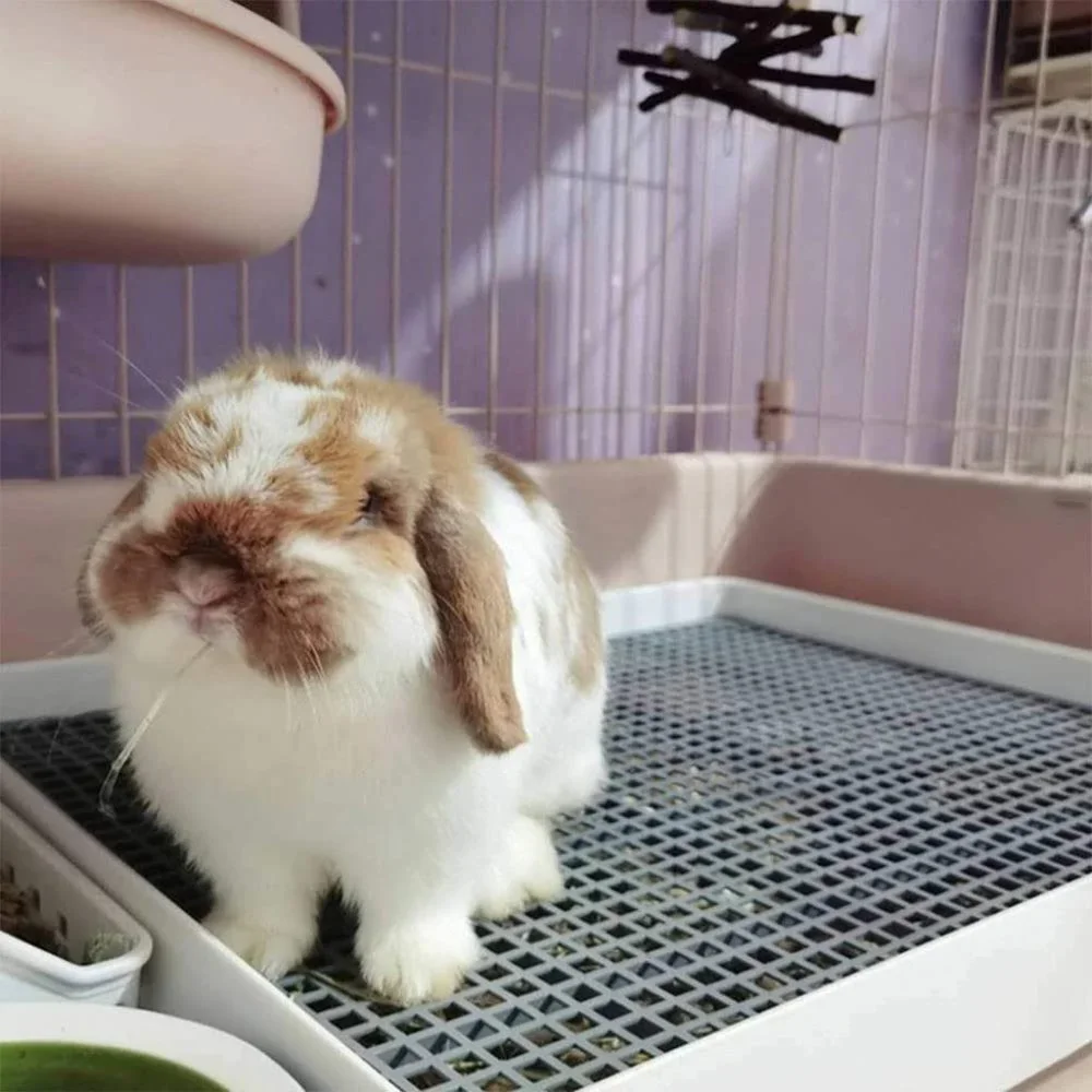 Guinea Pig Rabbit Litter Pan for Cage Bed Large Pet Toilet Pee Trainer New